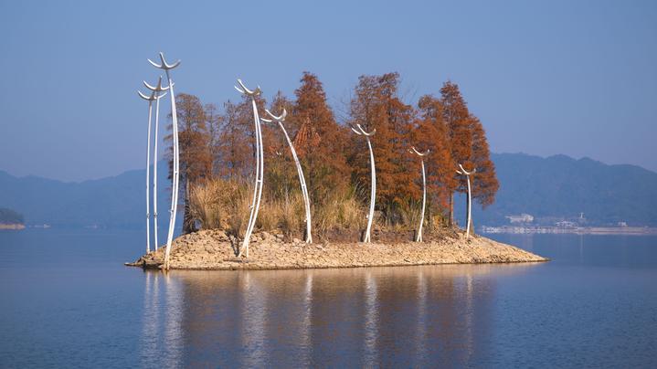 20241229131306.jpg